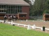 dressage horse Altruista Aldara (Pura Raza Espanola (PRE), 2006, from Rele)