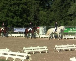 dressage horse Rosalie 114 (KWPN (Royal Dutch Sporthorse), 1998, from Jumbo-Jet)