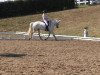 dressage horse Hidalgo 158 (Hanoverian, 2005, from Hochadel)