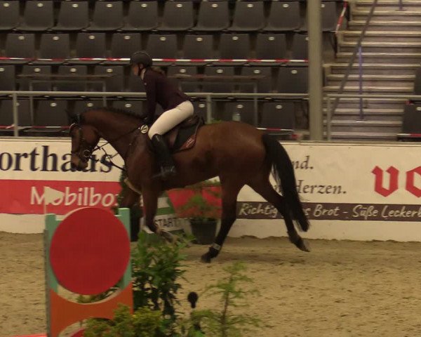 Reitturnier Verden Montagsclub 2020