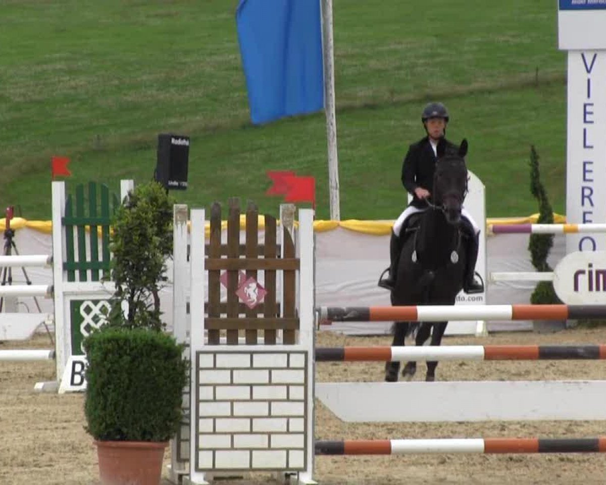 broodmare Eloquenz 2 (Rhinelander, 2007, from Eloquent)