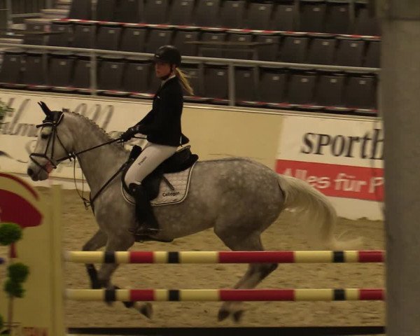 Reitturnier Verden Montagsclub 2020