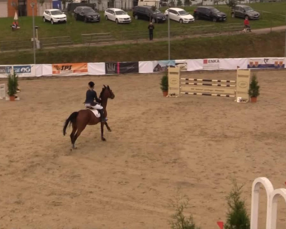 broodmare Beauty Dream (Mecklenburg, 2008, from Balou du Rouet)