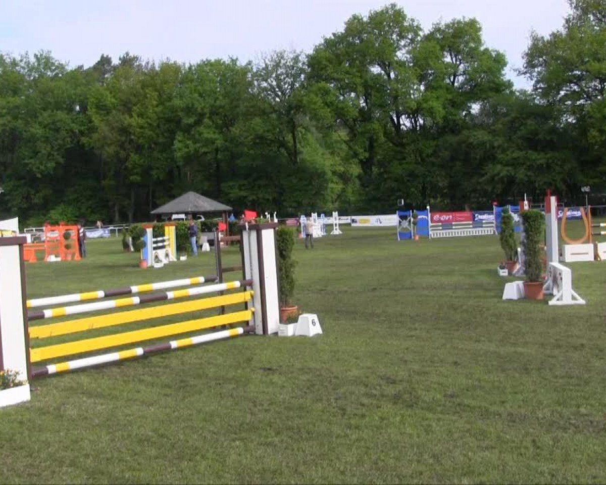 jumper Fame 186 (Westphalian, 2007)