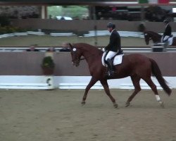 dressage horse Der Crefelder (Hanoverian, 2008, from Don Laurie II)