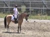 dressage horse Mogly G (German Riding Pony, 2008, from The Braes My Mobility)