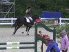 dressage horse Felix French Dream (Bavarian, 2007, from French Kiss)