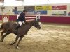 jumper Chiquita 72 (Oldenburg show jumper, 2008, from Clinton H)