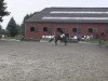 dressage horse Liebeskind B (Westphalian, 2008, from Licotus)