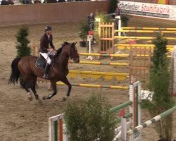 jumper Cartaire Z (Zangersheide riding horse, 2006, from Carthago)