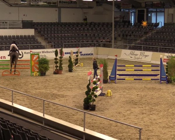 Reitturnier Verden Montagsclub 2020
