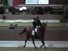 dressage horse Kassandra 194 (Westphalian, 2008, from Kaiserkult TSF)