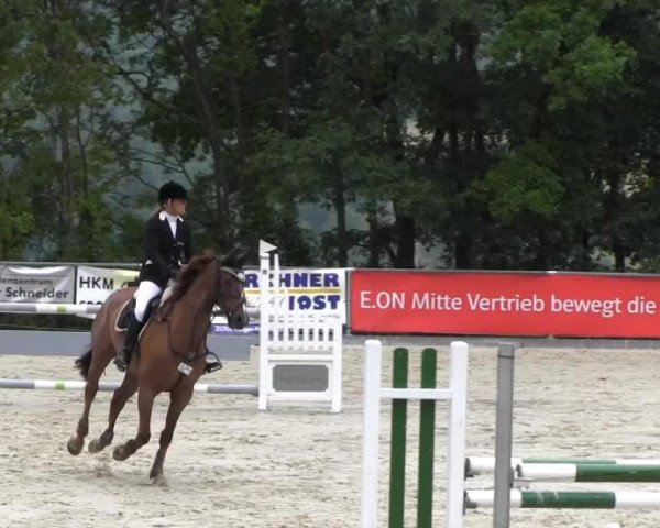 jumper Funicello (Hanoverian, 2008, from Forsyth)