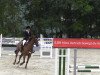 jumper Funicello (Hanoverian, 2008, from Forsyth)