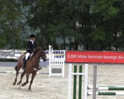 jumper Funicello (Hanoverian, 2008, from Forsyth)