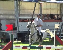 jumper Freak 14 (German Sport Horse, 2006, from Freshman)