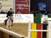 jumper Tasis (German Riding Pony, 1998)