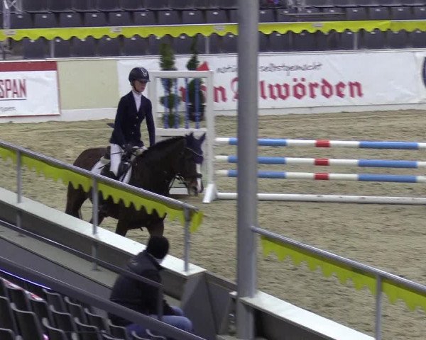 Reitturnier Verden Montagsclub 2020