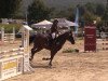 dressage horse Donna Cara 17 (German Riding Pony, 2006, from Don Joshi)