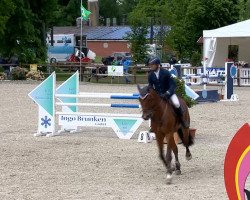 jumper Capiro (Oldenburg show jumper, 2006, from Carinue)