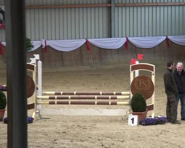 dressage horse Loena (KWPN (Royal Dutch Sporthorse), 1999)