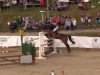 jumper Fenomeen 3 (Belgian Warmblood, 2005, from Nonstop)