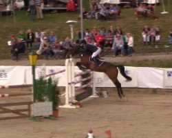 jumper Fenomeen 3 (Belgian Warmblood, 2005, from Nonstop)