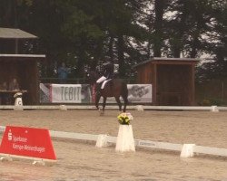 dressage horse Rubino Royal (Hanoverian, 2007, from Rascalino)