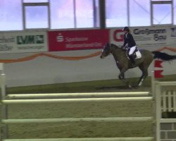 jumper Beau 47 (KWPN (Royal Dutch Sporthorse), 2006, from Quidam's Rubin)