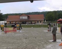 jumper Caspario (Hanoverian, 2008, from Contendro I)