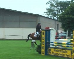 dressage horse Qui Boo (Westphalian, 2008, from Quinta Real)