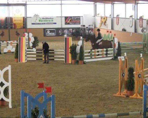 jumper Paohl (Hanoverian, 2008, from Perigueux)