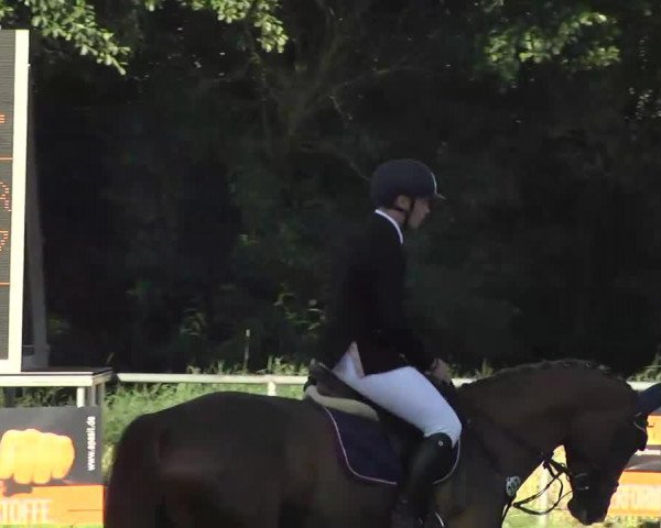 dressage horse Dancing Queen 165 (Württemberger, 2008, from Diamond Star 3)