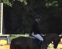 dressage horse Dancing Queen 165 (Württemberger, 2008, from Diamond Star 3)