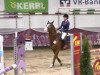 jumper Patriot (German Sport Horse, 2004, from Denk)