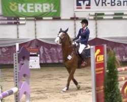 jumper Patriot (German Sport Horse, 2004, from Denk)