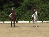 dressage horse Cristallo's Creep (Westphalian, 2008, from Cristallo I)