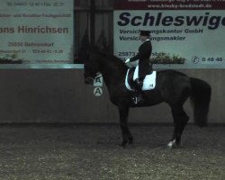 dressage horse Bartlgut's Fürst Metternich (German Sport Horse, 2003, from Future)