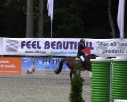 jumper Niklas K (German Riding Pony, 2008, from Nabucco R)