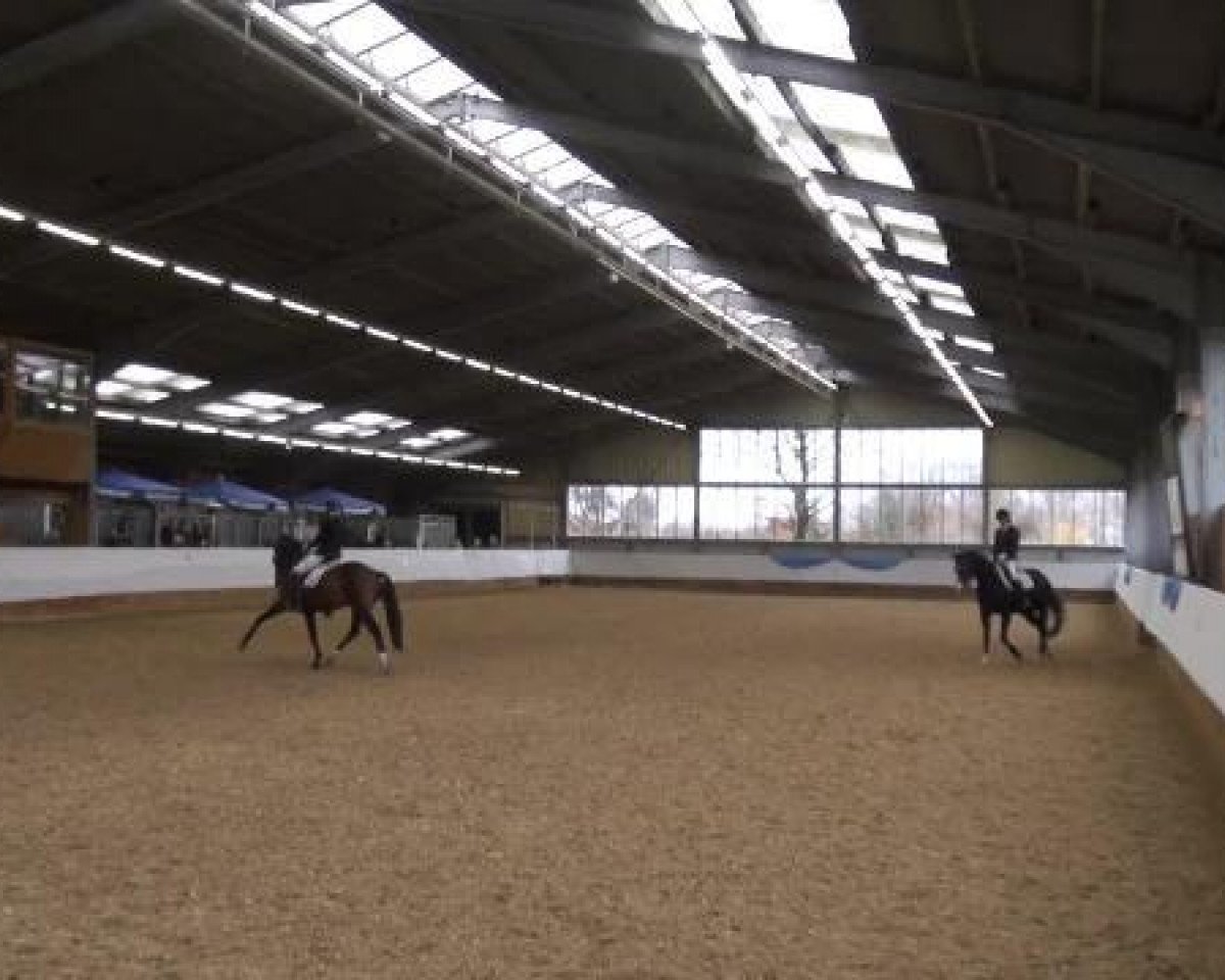 dressage horse Franz Ferdinand S (Westphalian, 2009, from Floresco NRW)