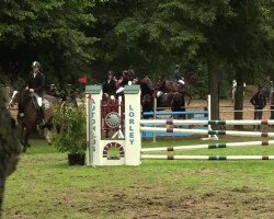 jumper Lord Karlos (Zangersheide riding horse, 2001, from Lord Lorenzo)