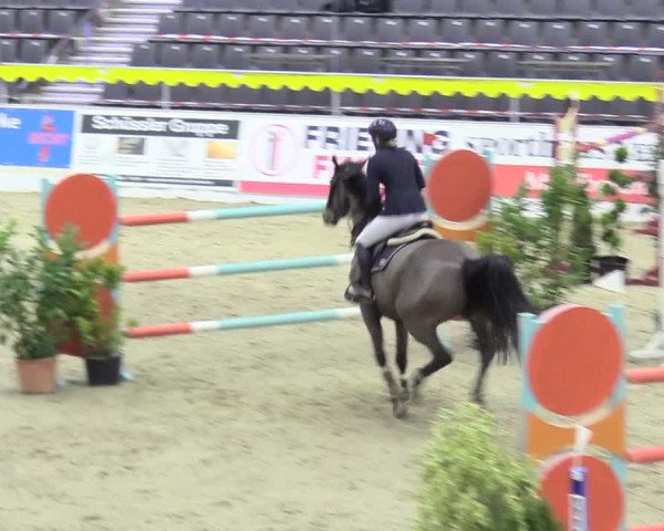Reitturnier Verden Montagsclub 2020