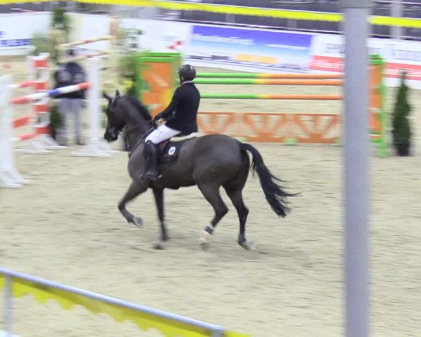 Reitturnier Verden Montagsclub 2020