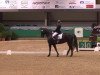 dressage horse Dark Pepper 3 (Rhinelander, 2005, from Don Bedo I)