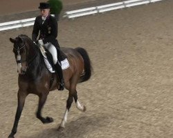 dressage horse Willy's Boy (KWPN (Royal Dutch Sporthorse), 2003, from Cantos)