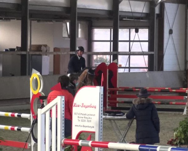 Reitturnier Langenfeld - Gut Langfort 2021