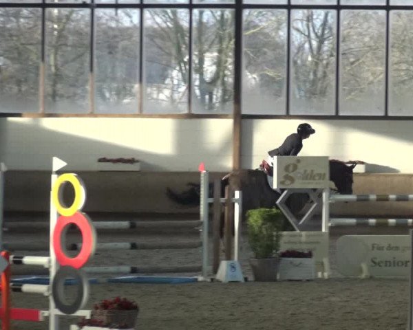 Reitturnier Langenfeld - Gut Langfort 2021