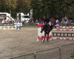 jumper Bono (KWPN (Royal Dutch Sporthorse), 2006, from Landlord)