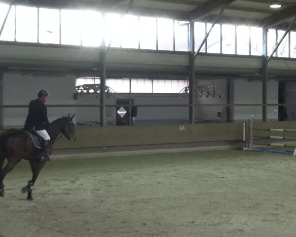 Reitturnier Langenfeld - Gut Langfort 2021