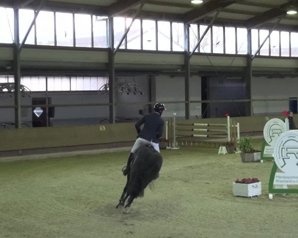 Reitturnier Langenfeld - Gut Langfort 2021